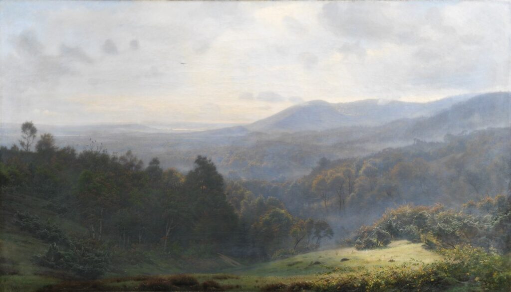 Skovene ved Himmelbjerget.